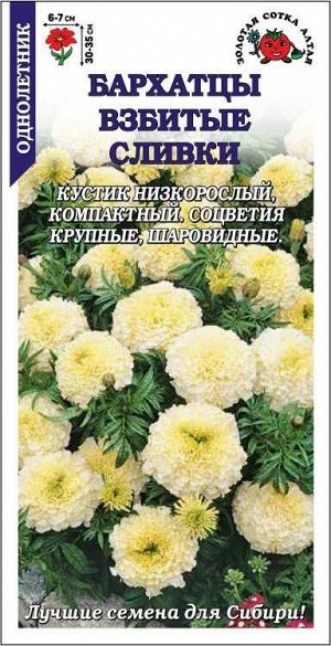 Бархатцы Взбитые Сливки /Сотка/ 0,1г/ прям. белые 35см, d-7см/*1500