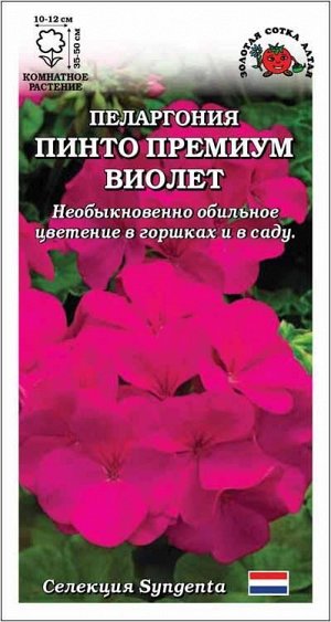 Ком: Пеларгония Пинто Премиум F1 Виолетт /Сотка/ 3 шт/ h-50см d-12см Syngentа/