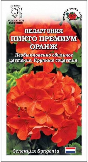 Ком: Пеларгония Пинто Премиум F1 Оранж  /Сотка/ 3 шт/ h-35см d-12см Syngenta/*