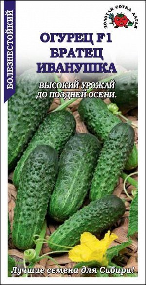 Огурец Братец Иванушка /Сотка/ 0,3г/среднеран. 7-10см/ *1500
