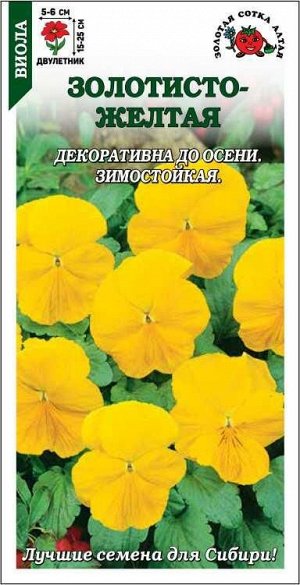Виола Золотисто-Желтая /Сотка/ 0,05г/ h-25см, d-6см/*2000