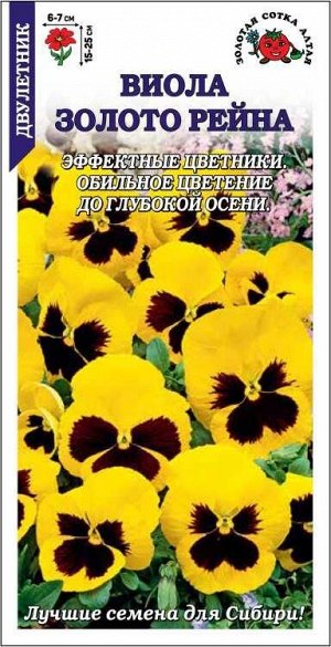 Виола Золото Рейна/Сотка/ 0,05г/ h-15-25см d-6-7см /*1500