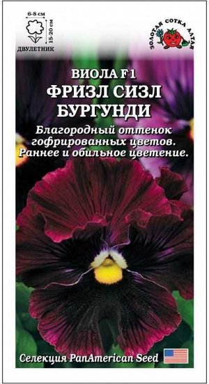 Виола Фризл Сизл Бургунди /Сотка/ 5шт/ h-20см, d-8см/*500