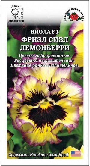 Виола Фризл Сизл Лемонберри /Сотка/ 5шт/ h-20см, d-6см/*500