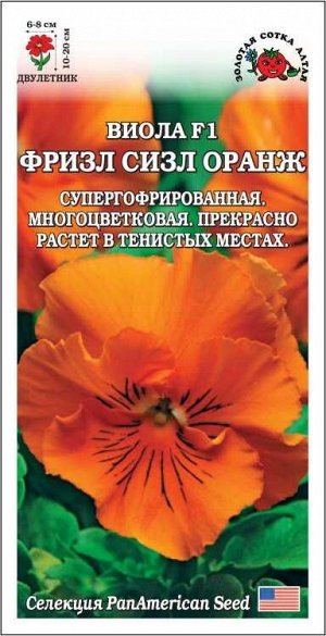 Виола Фризл Сизл Оранж /Сотка/ 5шт/ h-20см, d-8см/*500
