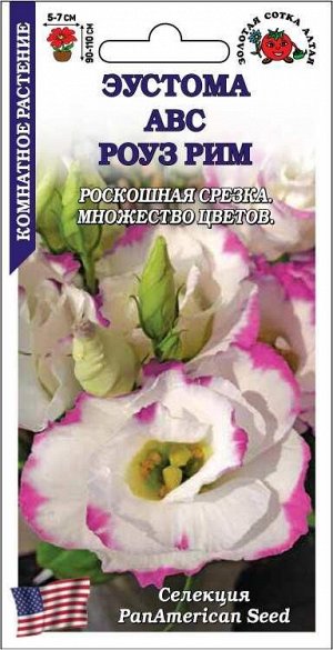 Ком: Эустома АВС Роуз Рим /Сотка/ 5шт/ бело-роз. h-110см d-7см PanAm/*500