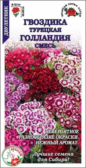 Гвоздика Турецкая Голландия /Сотка/ 0,3 г двулетн/*1200