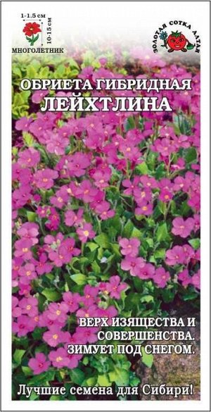 Обриета Лейхтлина F1 /Сотка/ 0,05г/ карминно-розов. h-15см/*1500
