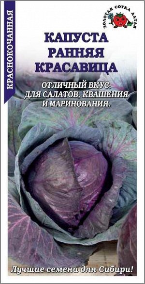 Капуста краснокочанная Ранняя красавица /Сотка/ 0,3г/ раннесп. 1-2кг/*1200