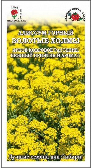 Алиссум Золотые холмы горный /Сотка/ 0,05 г/*1500