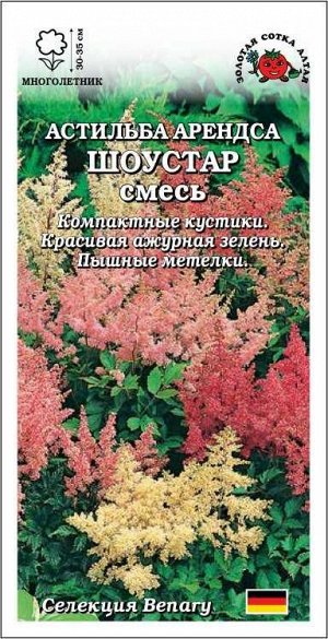 Астильба Арендса Шоустар /Сотка/ 5шт/ h-30-35см /*500
