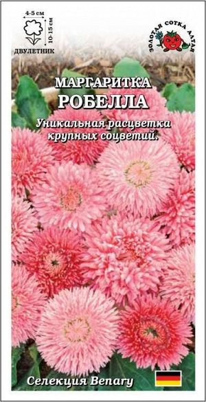 Маргаритка Робелла /Сотка/ 10шт/ h-10-15см d-4-5см мах. лосос-розо/*500