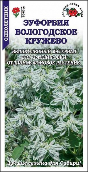 Эуфорбия Вологодское кружево /Сотка/ 0,2г/ h-50-60см /*900