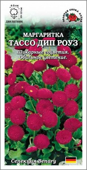 Маргаритка Тассо Дип Роуз /Сотка/ 10шт/ h-10-12см d-4-5см /*500