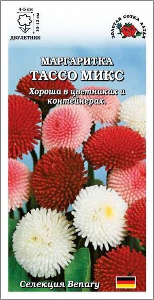 Маргаритка Тассо Микс /Сотка/ 10шт/ h-10-12см d-4-5см /*500