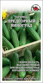 Огурец Предгорный виноград /Сотка/ 0,3г/ раннесп. 9-11см/*1200