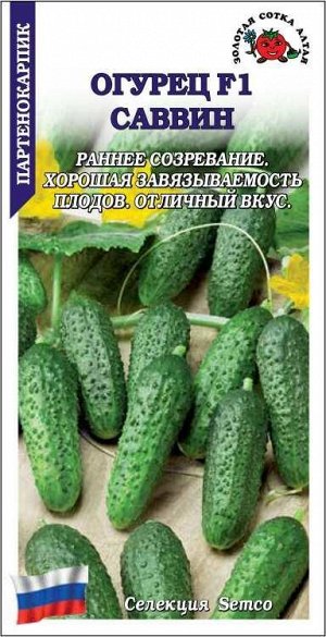 Огурец Саввин F1 /Сотка/ 5шт/ ранний партен. 9-11 см /*1500