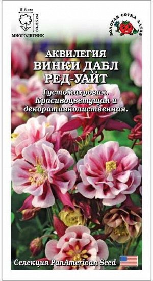Аквилегия Винки Дабл Ред-Уайт /Сотка/ 5шт/ красно-бел. h-35см d-6см PanAm/*500