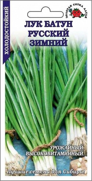 Лук Батун Русский зимний /Сотка/ 1г/ раннесп./*800