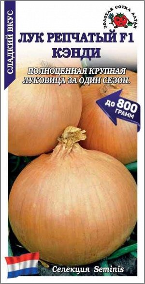 Лук Кэнди /Сотка/ 0,2г/*1200