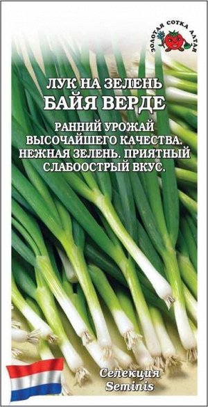 Лук На зелень Байя Верде /Сотка/ 0,2г/ среднесп./*1200