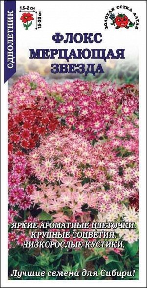 Флокс Мерцающая звезда /Сотка/ 0,2 г/*1500