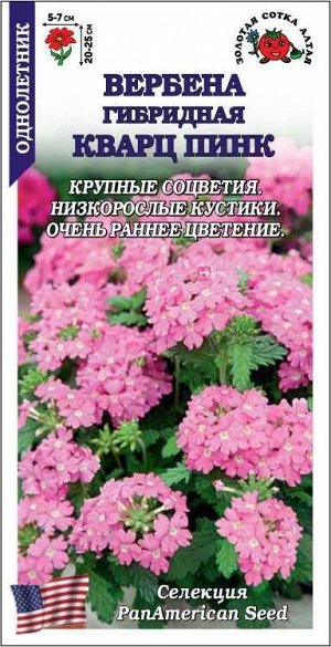 Вербена Кварц Пинк /Сотка/ 5шт/ h-25см, d-7см/*500