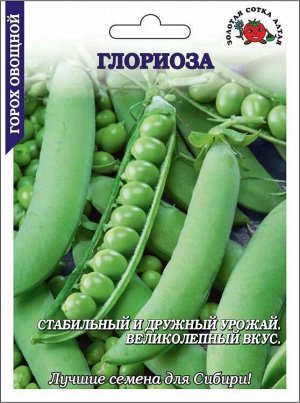 Горох Глориоза /Сотка/ 25г/ БОЛЬШОЙ раннесп. мозг. 60-70см/*120