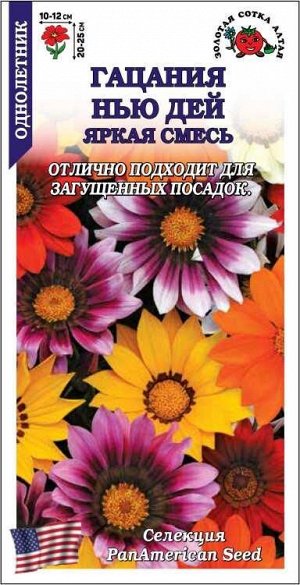 Гацания Нью Дей Яркая смесь F1 /Сотка/ 5шт/ h 25см, d-12см/*500