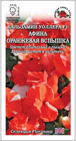 Ком: Бальзамин Афина Оранжевая вспышка /Сотка/ 5 шт/*500