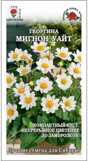 Георгина Мигнон Уайт /Сотка/ 0,2г/ одн. h-45cм, d-9cм/*1100