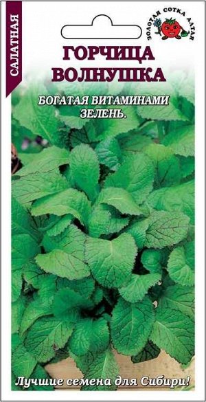 Горчица Волнушка листовая /Сотка/ 0,5г/ ранняя салатная/*1200