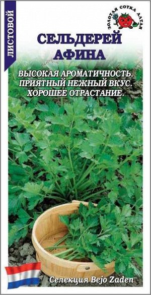 Сельдерей листовой Афина /Сотка/ 0,1 г (Бейо)/*1500
