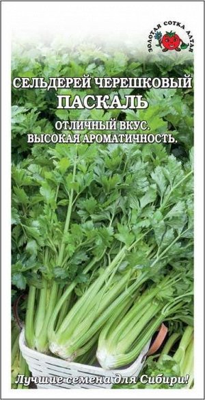 Сельдерей черешковый Паскаль /Сотка/ 0,5г/ холодоуст./*1500