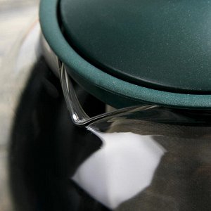 Чайник стеклянный заварочный «Забота», 1,25 л, металлическое сито, цвет МИКС