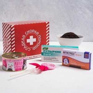 Подарочный набор «Сладкая скорая помощь»: леденец 15 г, конфеты 65 г, чай 20 г, шоколад 27 г
