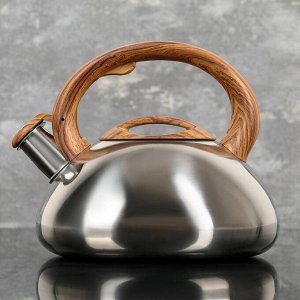 Чайник со свистком Доляна «Квант», 2,6 л, фиксированная ручка soft-touch, цвет коричневый