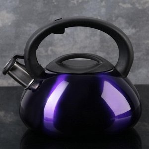 Чайник со свистком «Таун», 3 л, цвет фиолетовый
