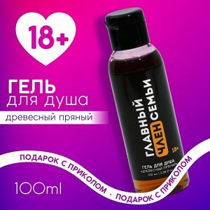 Гель для душа «Главный член семьи», 100 мл, аромат древесный, 18+, ЧИСТОЕ СЧАСТЬЕ