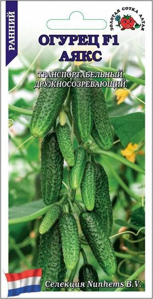 Огурец Аякс F1 /Сотка/ 5шт/ раннесп. 9-12см Nunhems/*1500