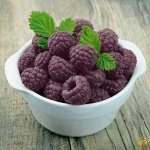Малина Роялти