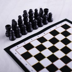 Набор шахмат «На шаг впереди», р-р поля 15 ? 15 см