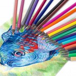 Цветные карандаши большие упаковки