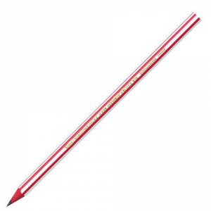 Карандаш чернографитный BIC, 1 шт., "Evolution Stripes", HB, корпус ассорти, 918487