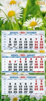 Календарь 2025 квартальный 310х680 Ромашки КБ14-25