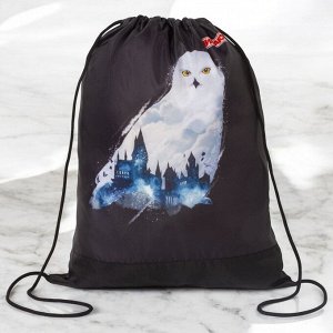 Мешок для обуви ПИФАГОР, 1 отделение, 42х34 см, White Owl, 270182