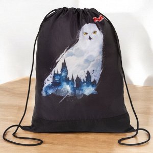 Мешок для обуви ПИФАГОР, 1 отделение, 42х34 см, White Owl, 270182