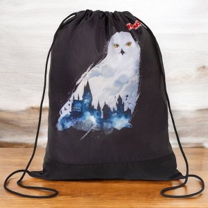 Мешок для обуви ПИФАГОР, 1 отделение, 42х34 см, White Owl, 270182