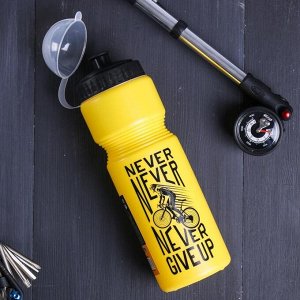 Бутылка для воды "Never give up", 750 мл