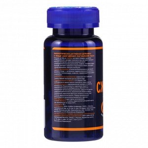 Жиросжигатель Fat Burner GLS для похудения, 60 капсул по 350 мг